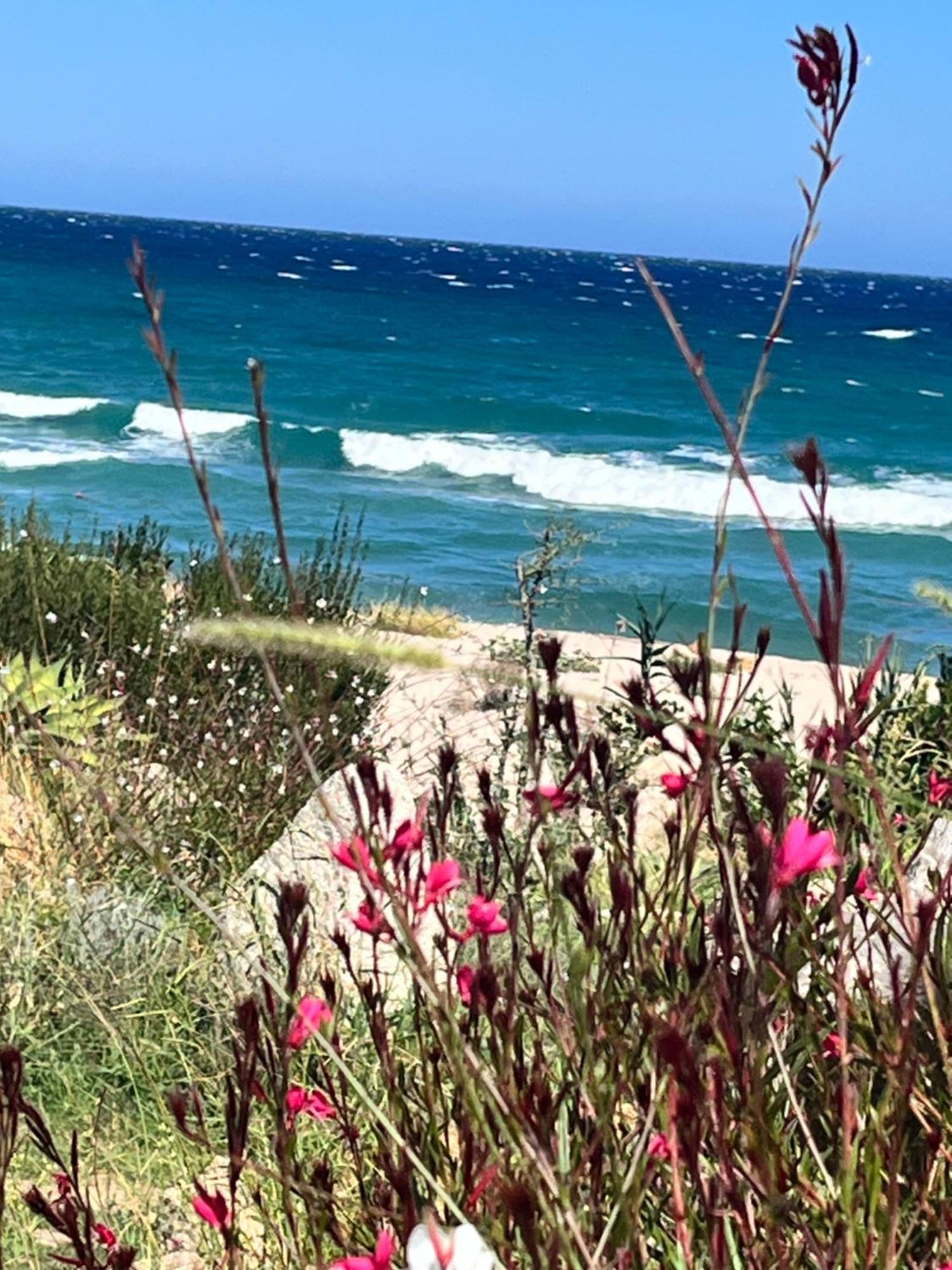 Mini Playa Del Oro